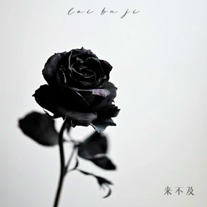 武藤兰あさかわ无码流出
